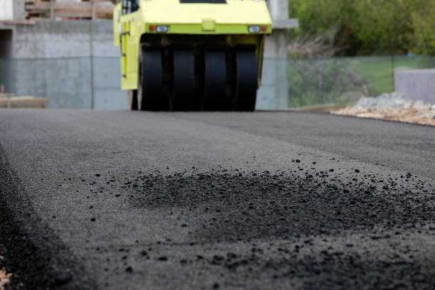 Best Professional Driveway Pavers  in Edgerton, KS